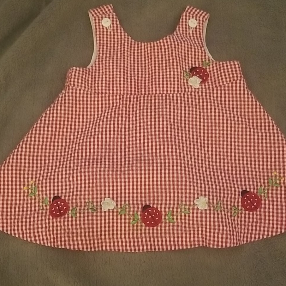 Vintage Little Bitty Ladybug dress